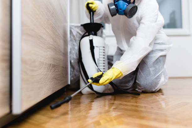 Best Flea Control Services  in Maple Park, IL