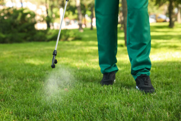 Best Bed Bug Extermination  in Maple Park, IL