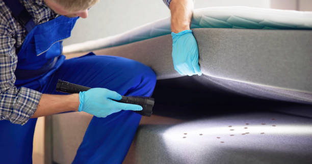 Best Rat Extermination Near Me  in Maple Park, IL