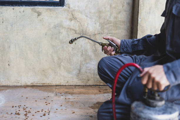 Best Affordable Pest Control Services  in Maple Park, IL