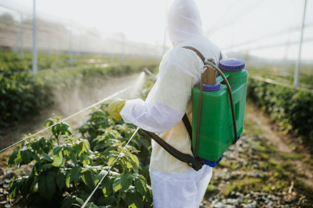 Best Wasp Removal Services  in Maple Park, IL